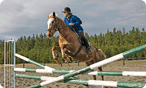 English + Horse Riding (English Plus Course)